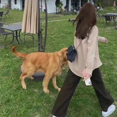 我的姥姥我的妈